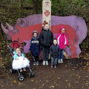 Meet your Posher, Alison